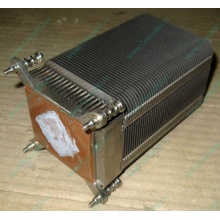 Радиатор HP p/n 433974-001 для ML310 G4 (с тепловыми трубками) 434596-001 SPS-HTSNK (Махачкала)