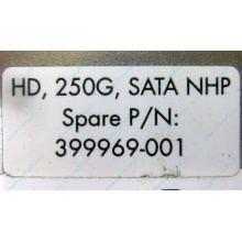 HP 250G 7.2k 432337-001/ 399699-001 / 397377-004 SATA HDD (Махачкала)