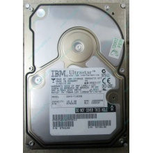 Жесткий диск 18.2Gb IBM Ultrastar DDYS-T18350 Ultra3 SCSI (Махачкала)