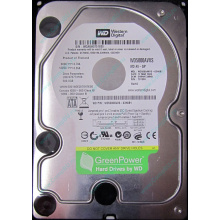 Б/У жёсткий диск 500Gb Western Digital WD5000AVVS (WD AV-GP 500 GB) 5400 rpm SATA (Махачкала)