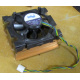 Intel D34088-001 s603 / s604 (Махачкала)