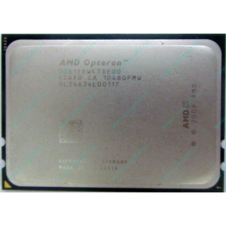 AMD Opteron 6128 OS6128WKT8EGO (Махачкала)